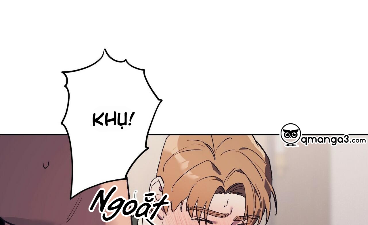 chàng dâu nhà họ kang chapter 16 98