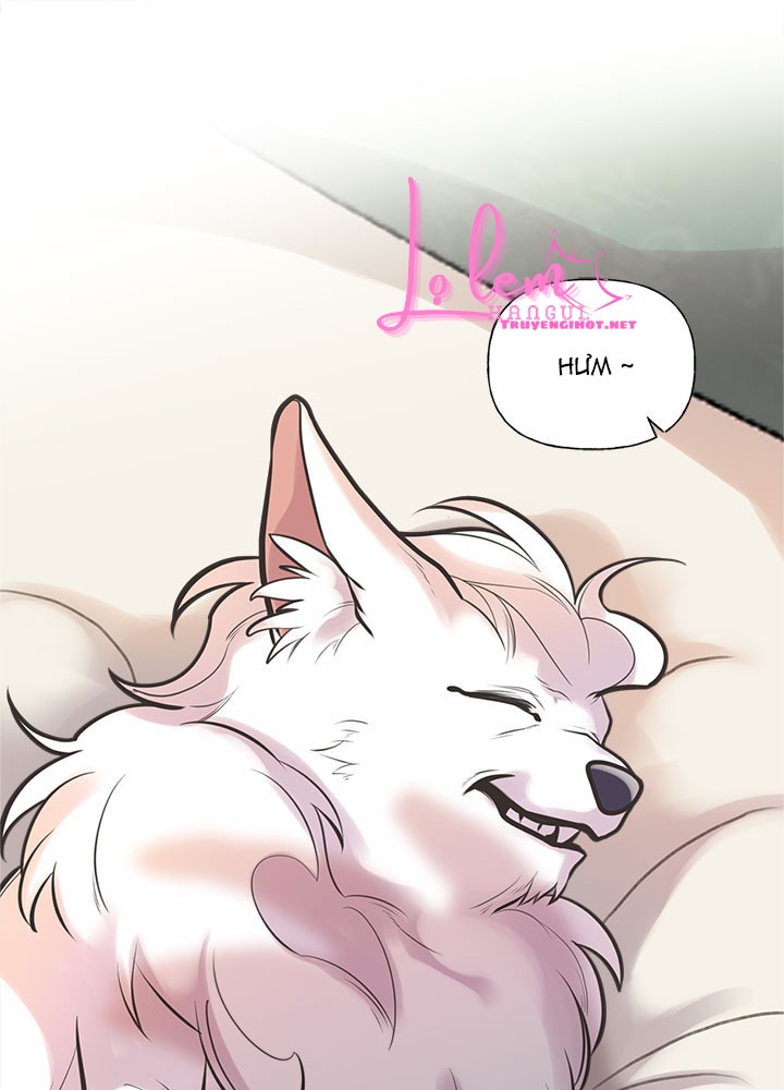 chị tôi đã nhặt về một nam chính quyến rũ chapter 54 1