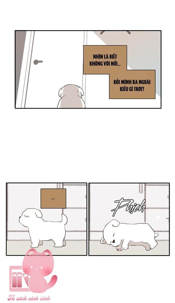 a good day to be a dog chapter 11 20