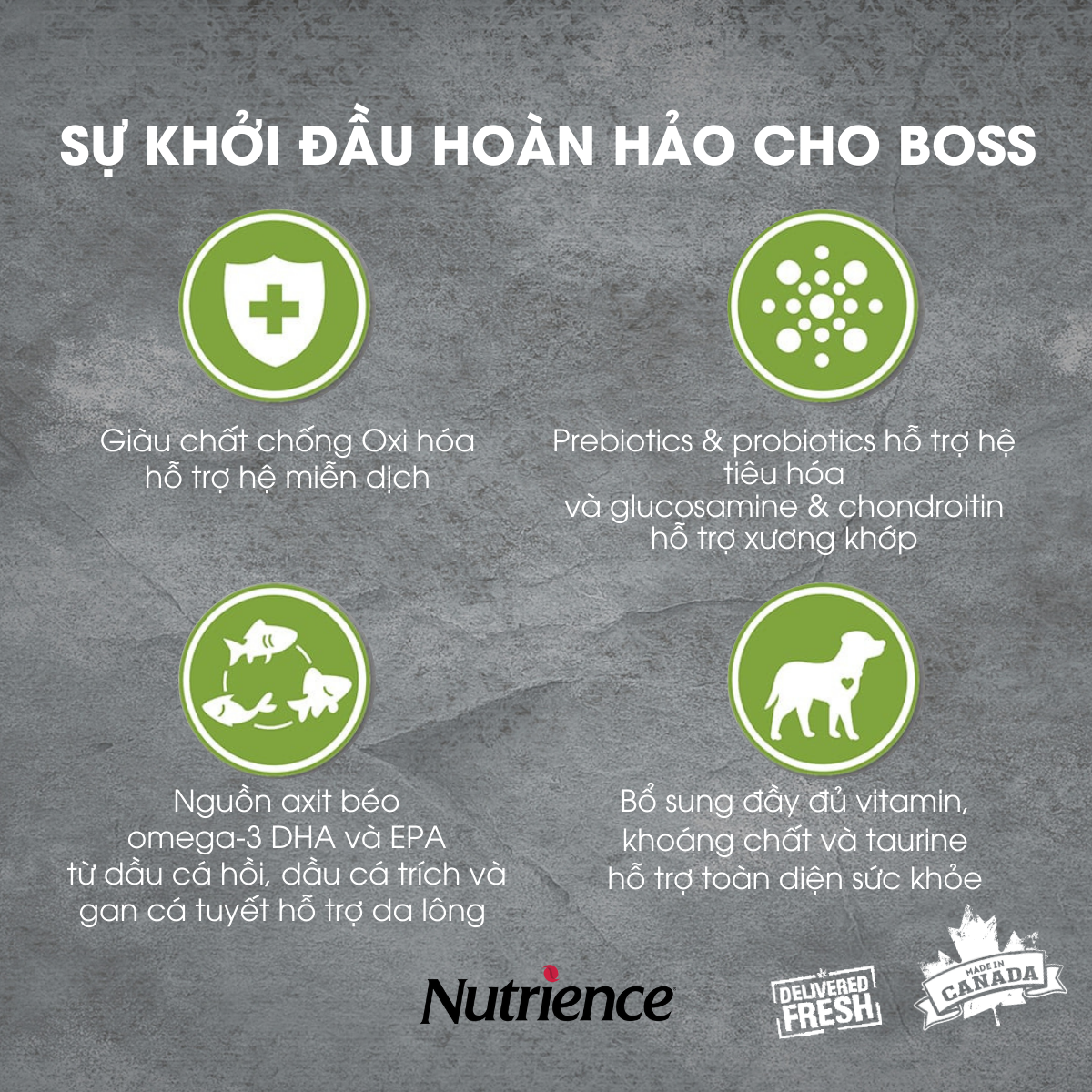 Thức Ăn Cho Chó Con Khỏe Mạnh Nutrience Infusion Bao 2,27kg - Thịt Gà, Rau Củ Và Trái Cây Tự Nhiên