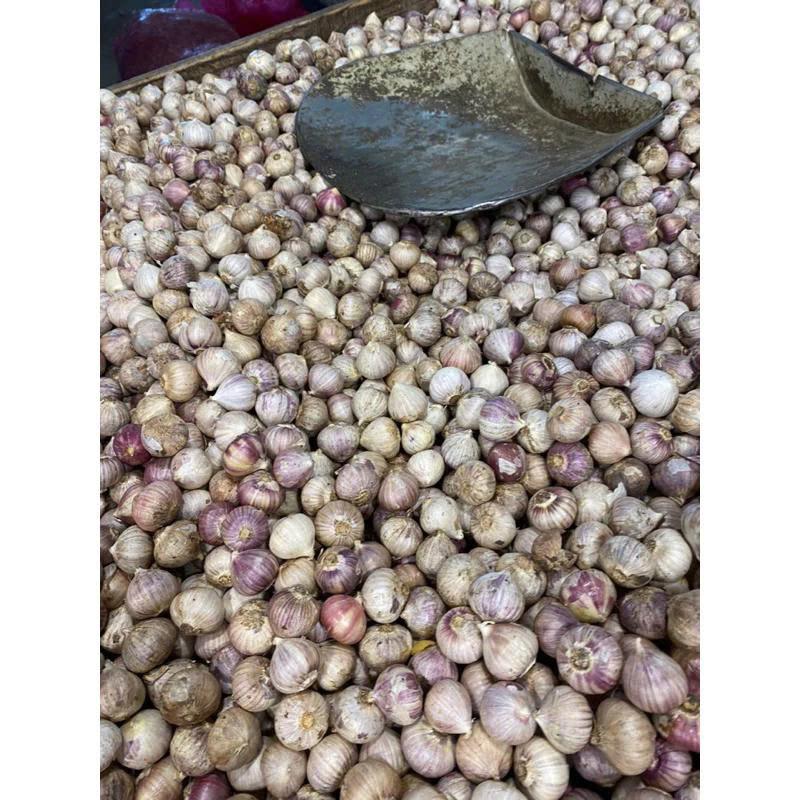 Tỏi cô đơn 1 kg. Đặc sản tỏi cô đơn, tỏi 1 nhánh size vừa