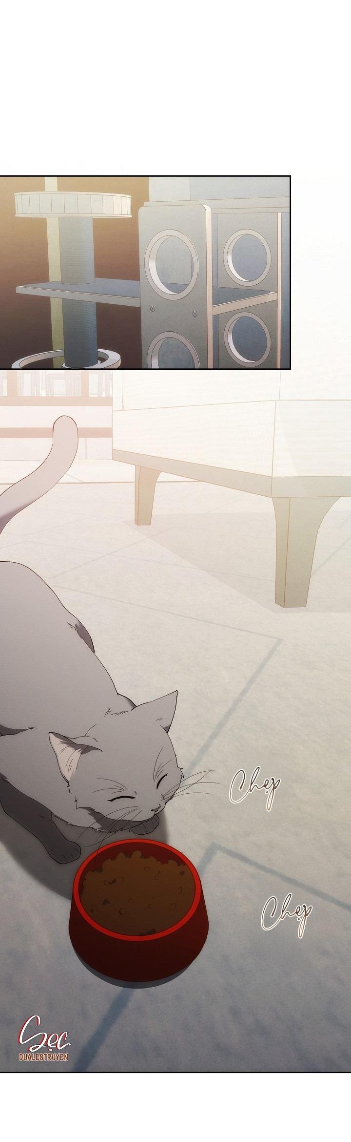 red mansion chapter 36 29