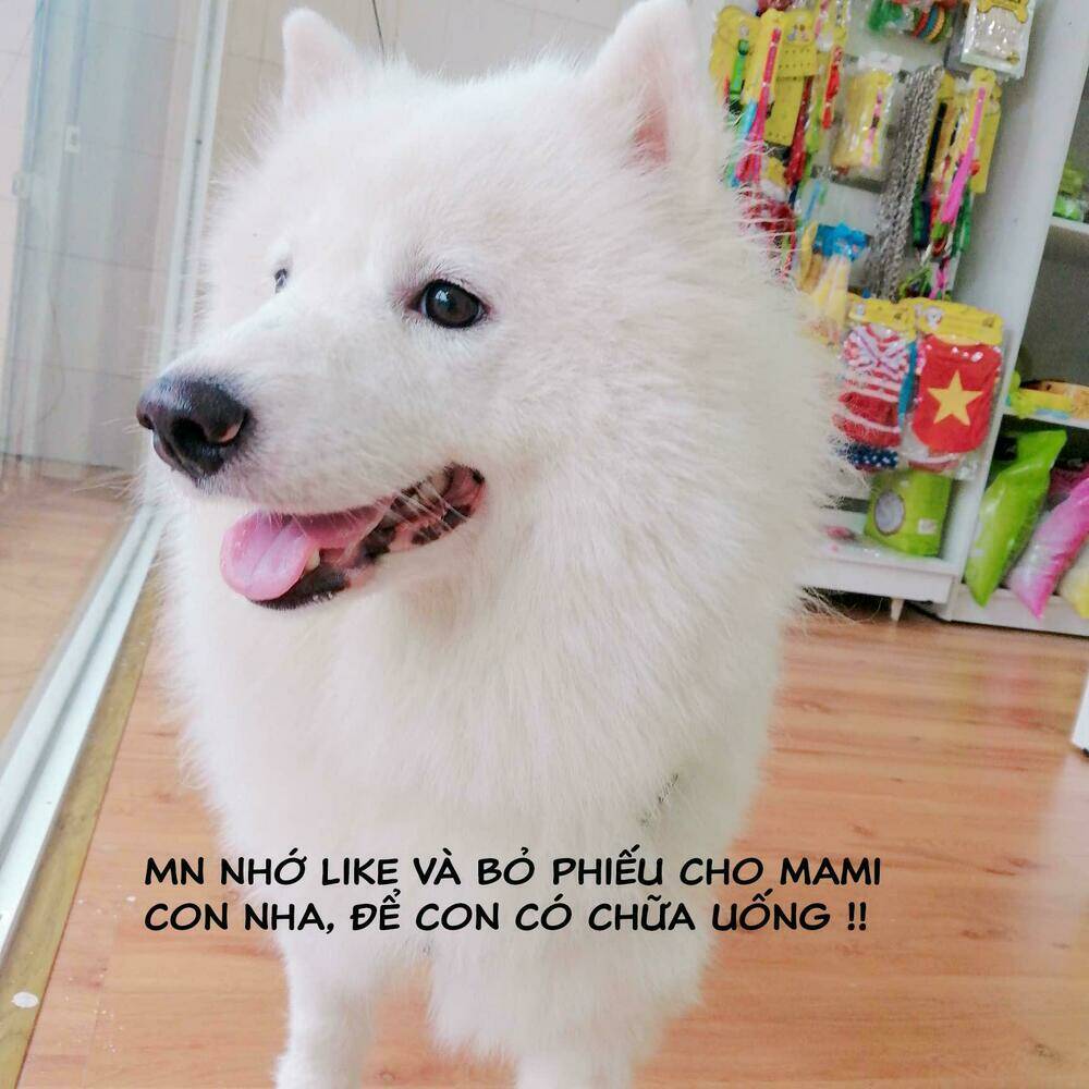 độc y đích nữ chapter 15 37