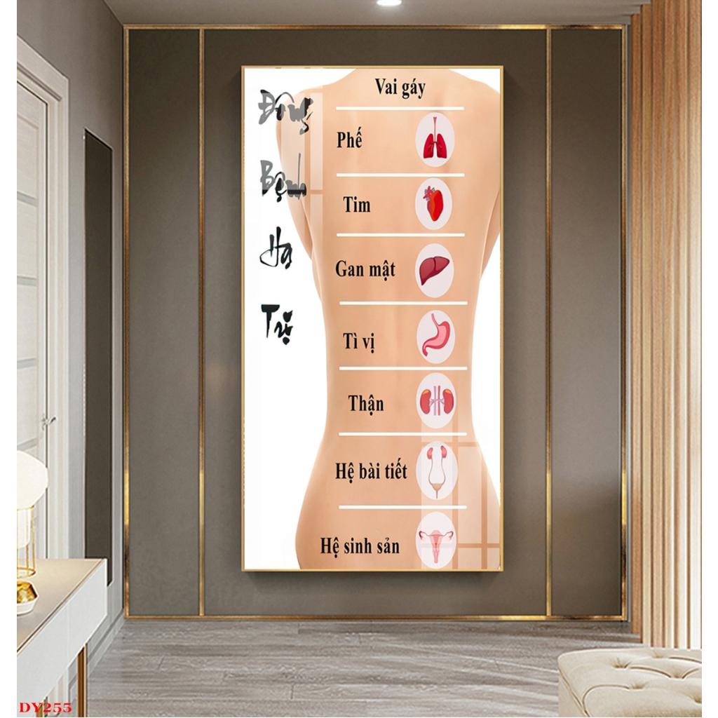 Tranh Tráng Gương Chủ Đề Thảo Dược Đông Y - Spa Dưỡng Sinh ĐY04 - Size M 50x70CM