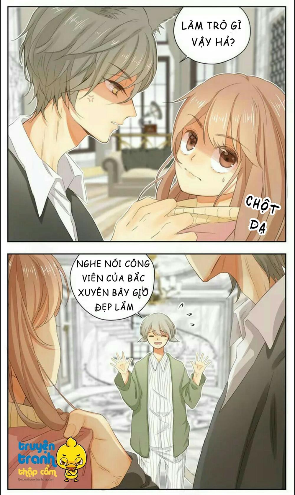 cứu mạng ! loài mèo thống trị thế giới rồi ! chapter 37 4