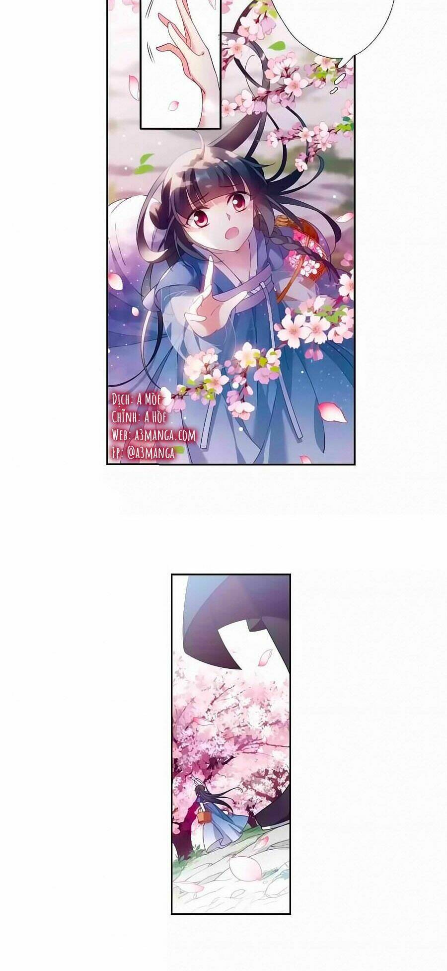 toàn cơ từ chapter 37.5 4