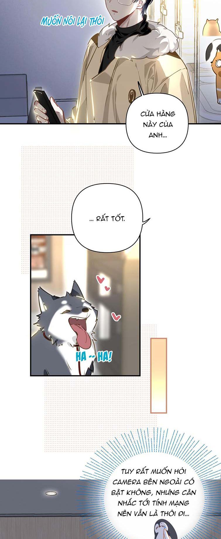 tôi bị điên đó chapter 7 3