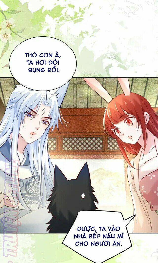 hắc hóa nam chính trực tuyến nuôi thỏ chapter 44 13