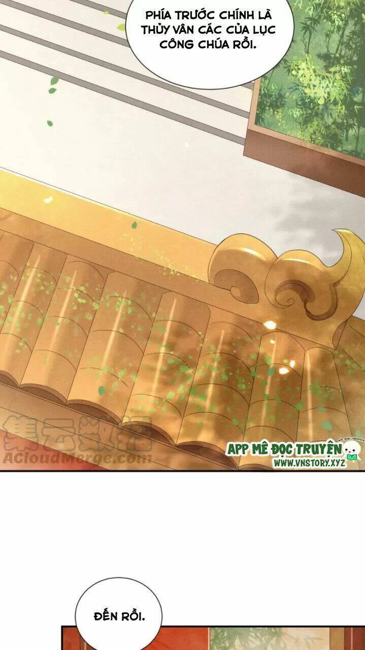 phượng hoàng vu phi chapter 69 20