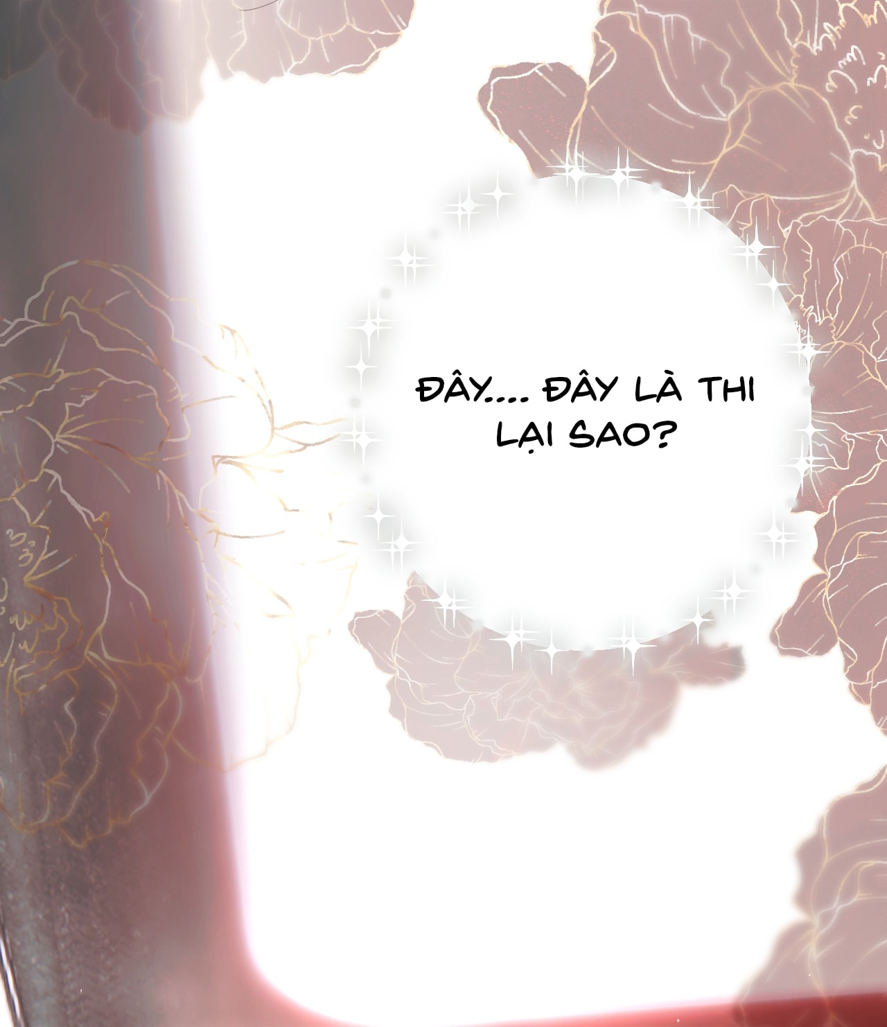 Trêu Nhầm chapter 45.2 29