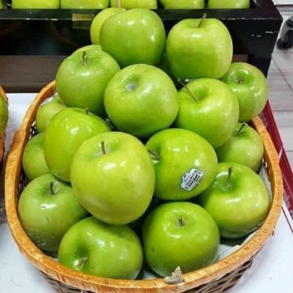 CÂY GIỐNG TÁO THÁI LAN .