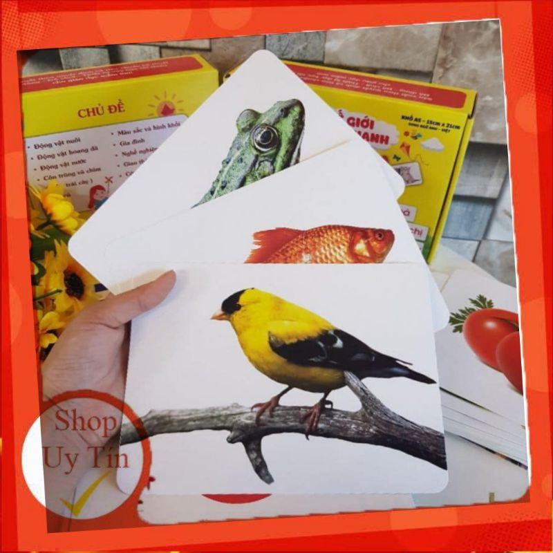 BỘ THẺ HỌC THÔNG MINH  THEO PP GELDOMAN . Flash card cho bé