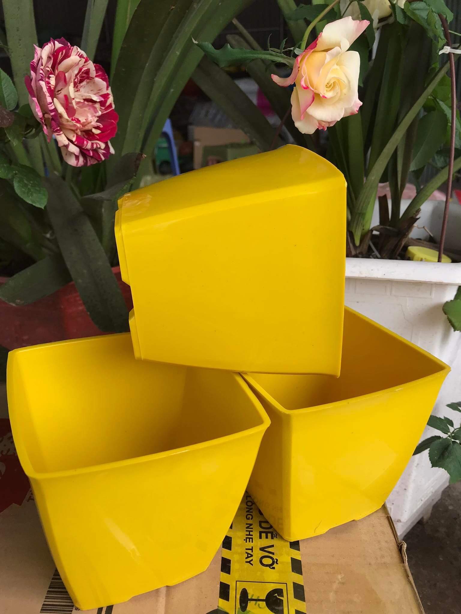 Chậu nhựa vuông V12 trồng hoa cây cảnh văn phòng hàng loại 1 KT 12x12x10cm