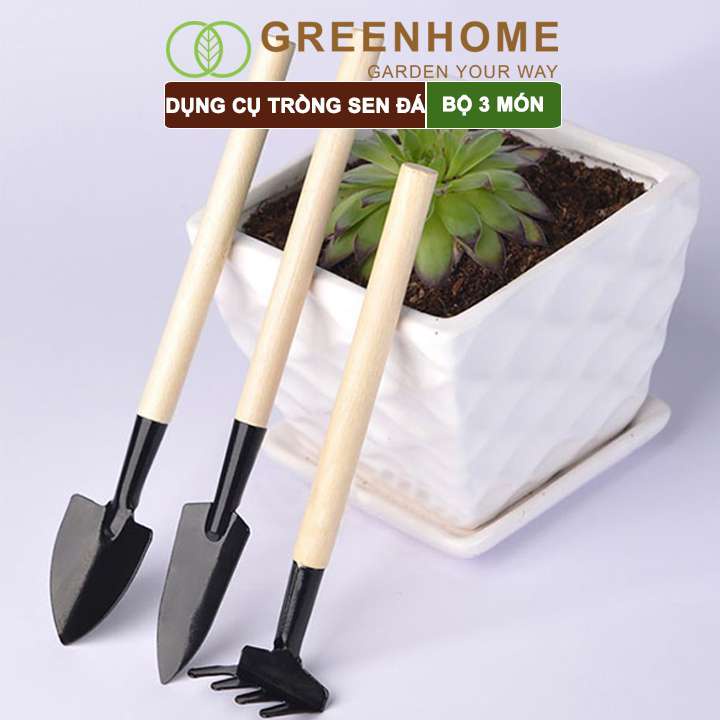 Dụng cụ làm vườn mini, 3 món, tiện lợi, chuyên dụng trồng Sen đá, cán gỗ |Greenhome