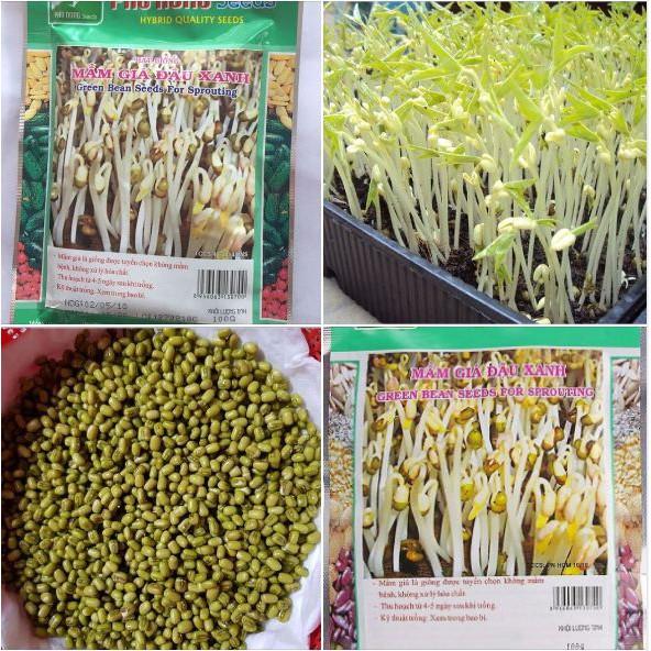 Hạt Giống Mầm Giá Đậu Xanh Phú Nông - Key: Đất sạch, Phân Bón, Hữu Cơ, Xơ Dừa