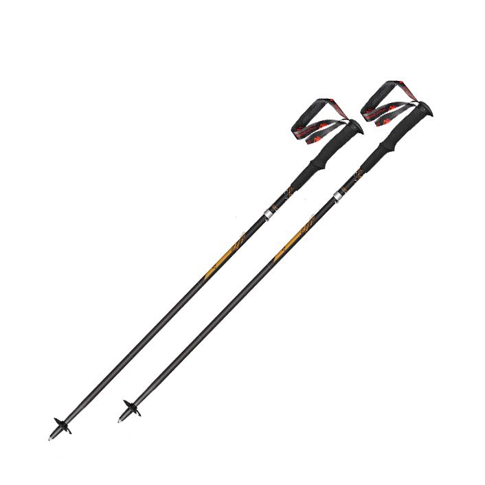 Gậy Chạy Trail Pioneer Carbon C4