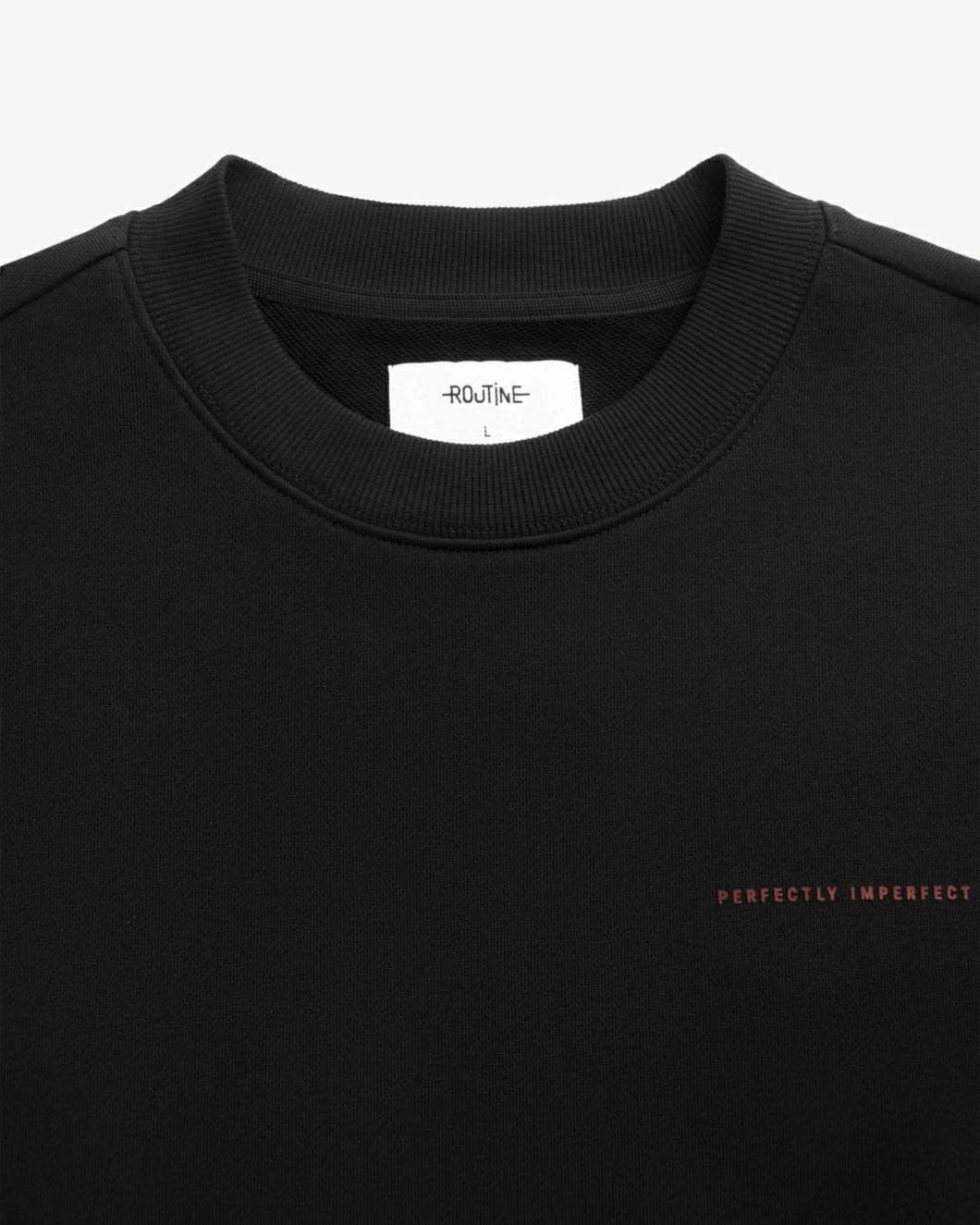 Áo sweatshirt unisex ROUTINE có hình in. Loose - 10F24SWEU001 | LASTORE MENSWEAR