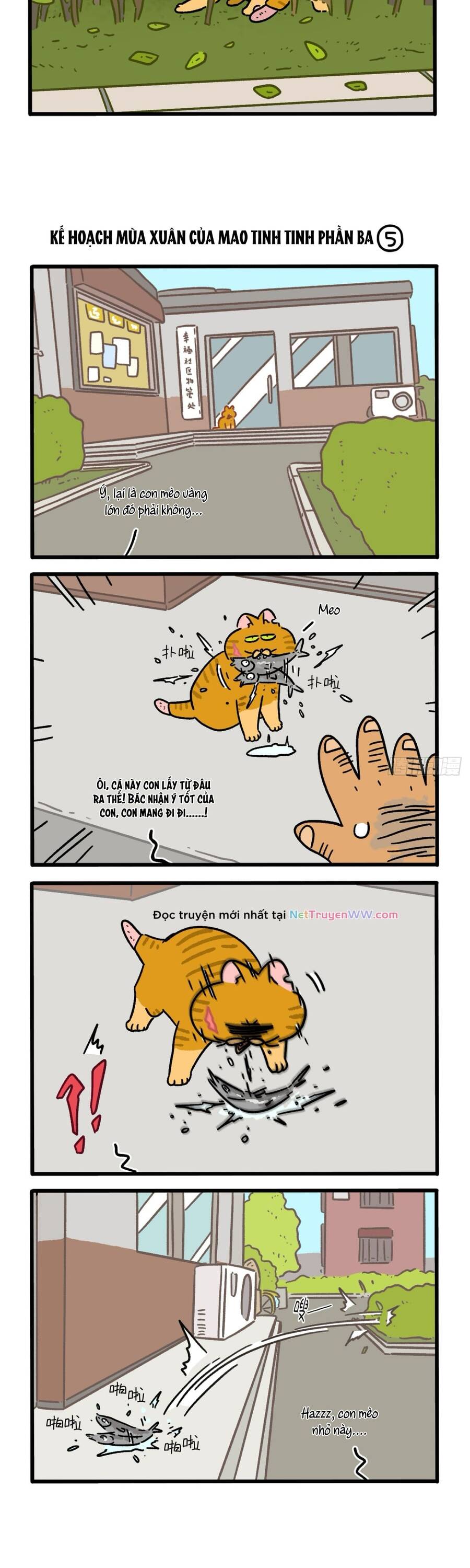 a mãn và mạch trà chapter 158.1 3