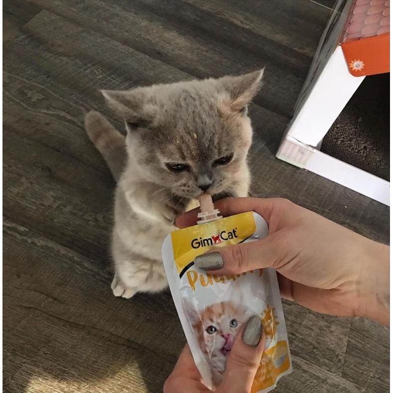 GIMCAT PUDDING CLASSIC _ Pudding dinh dưỡng cho mèo