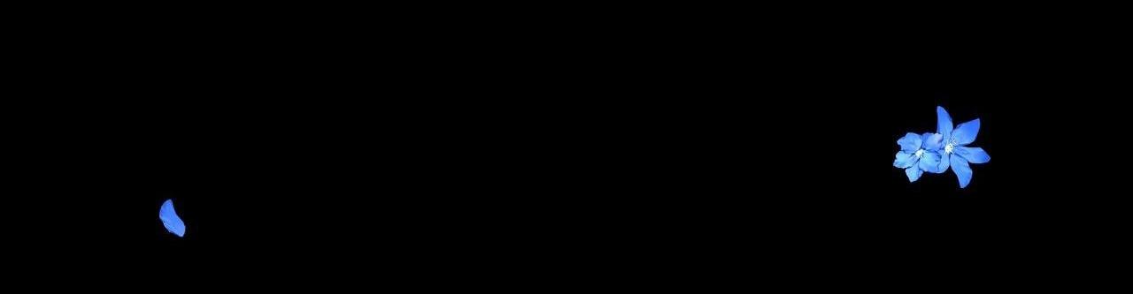 hạ cánh cuối chân trời chapter 16 4