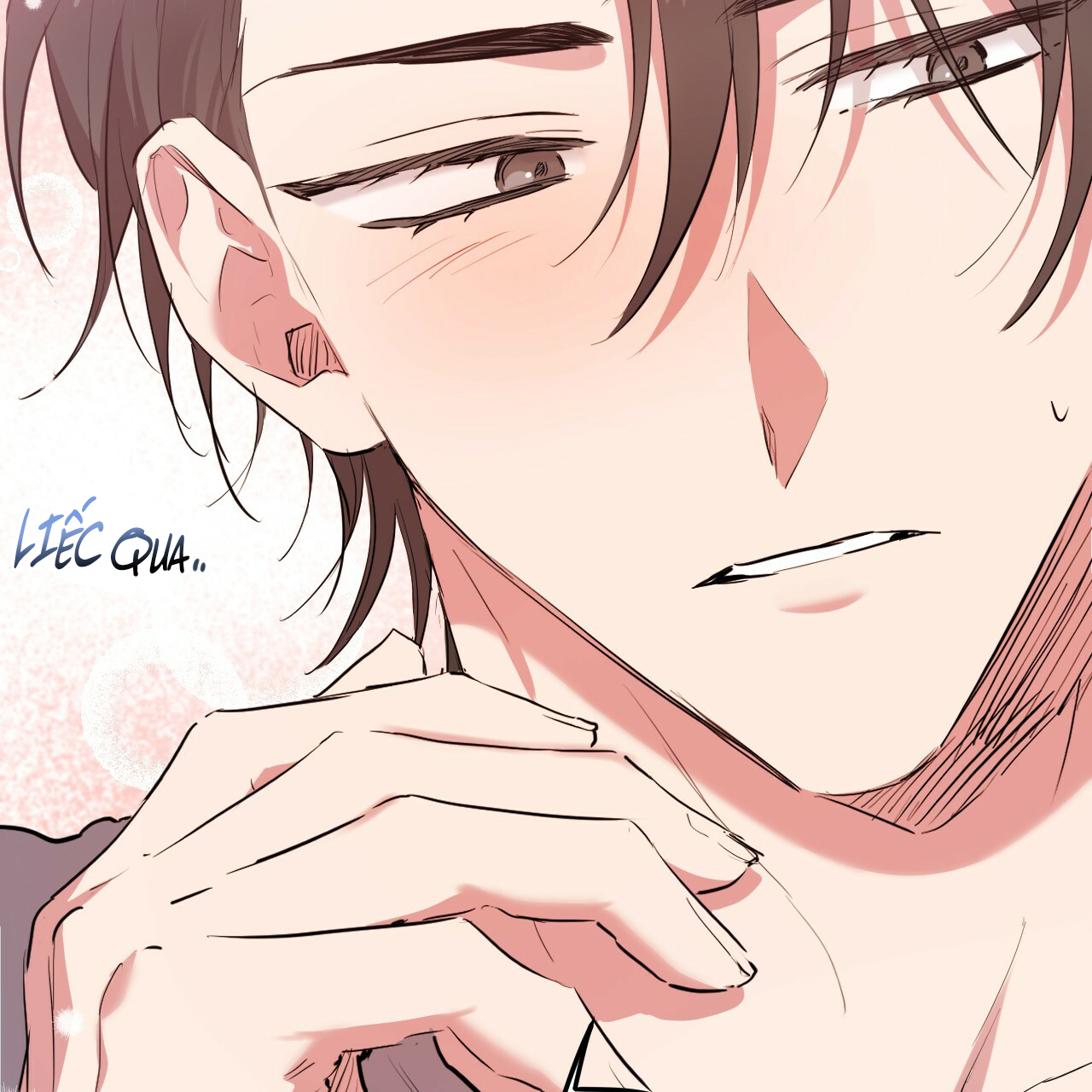 những chú thỏ của hapypy chapter 17 29