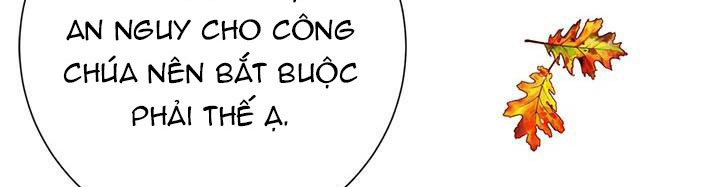 công chúa của loài chim chapter 49.1 436