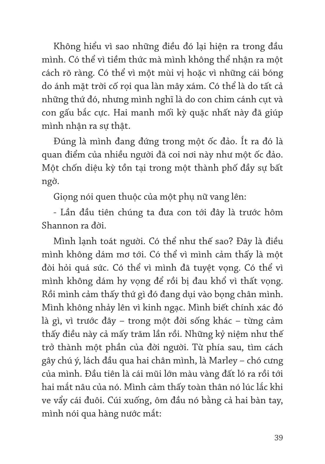 Pendragon Tập 10: Những Chiến Binh Halla