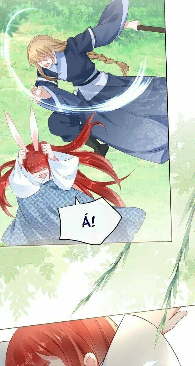 hắc hóa nam chính trực tuyến nuôi thỏ chapter 24 12