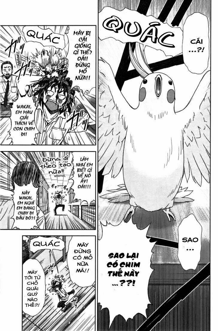 coulomb fille chapter 5 23