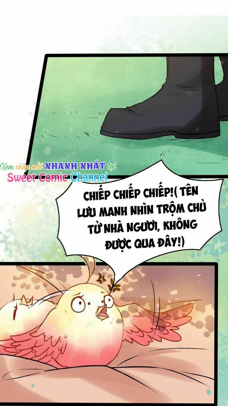 thịnh sủng kiều nữ trở về triều ca chapter 26 23