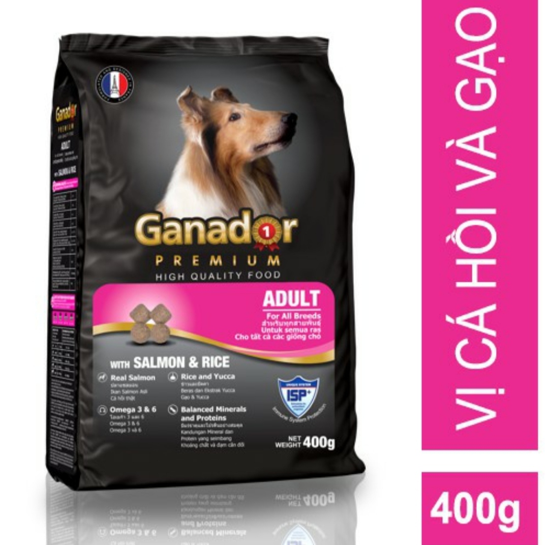 Combo 5 Gói Thức Ăn Hạt Cho Chó Lớn Ganador Adult Salmon &amp; Rice Vị Cá Hồi Và Gạo 400g - YonaPetshop