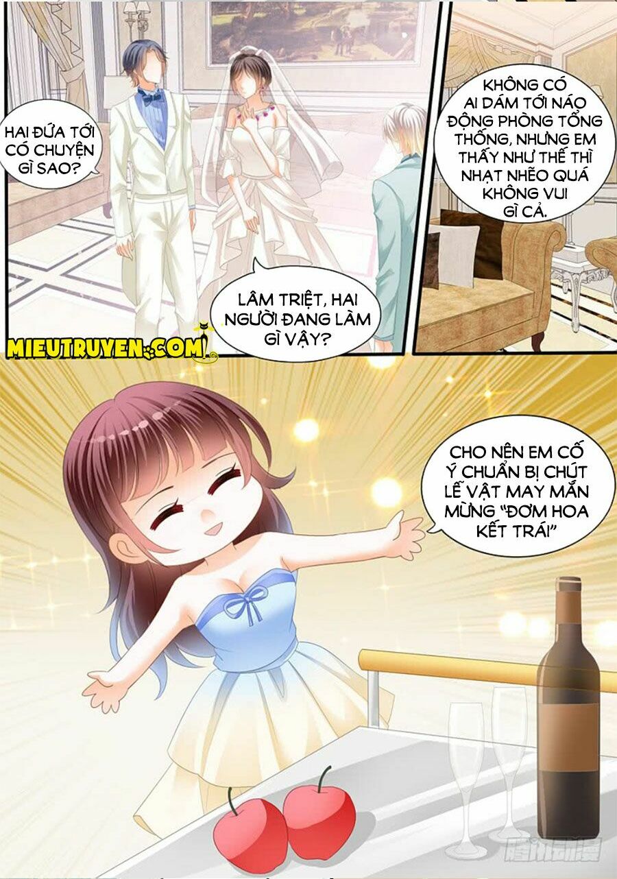 thiểm hôn kiều thê chapter 217 5