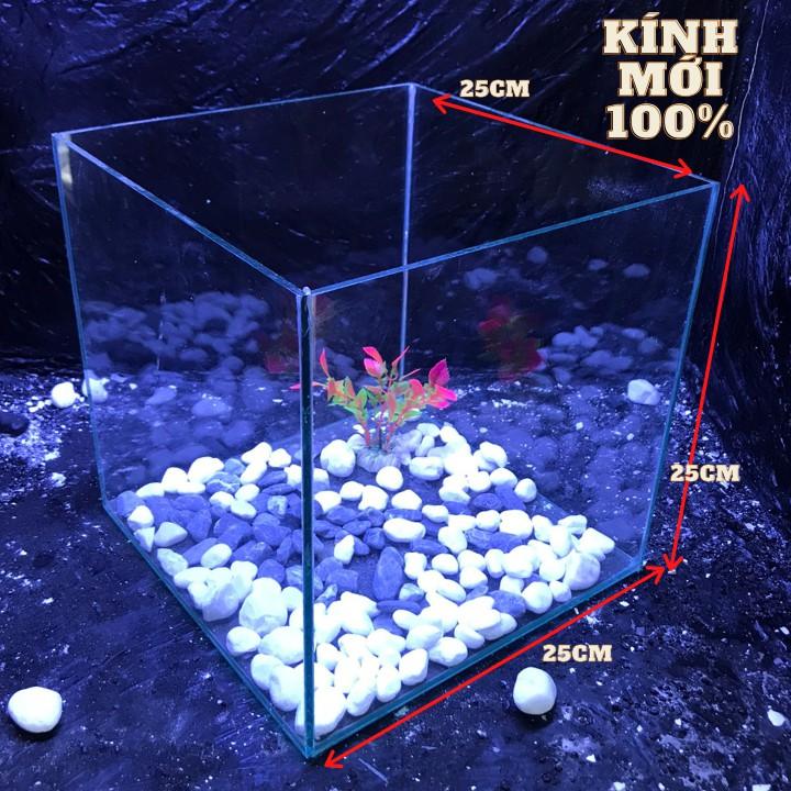 Bể cá cubic 25cm combo đầy đủ phụ kiện - bể cá mini - bể cá để bàn mini - bể cá mini