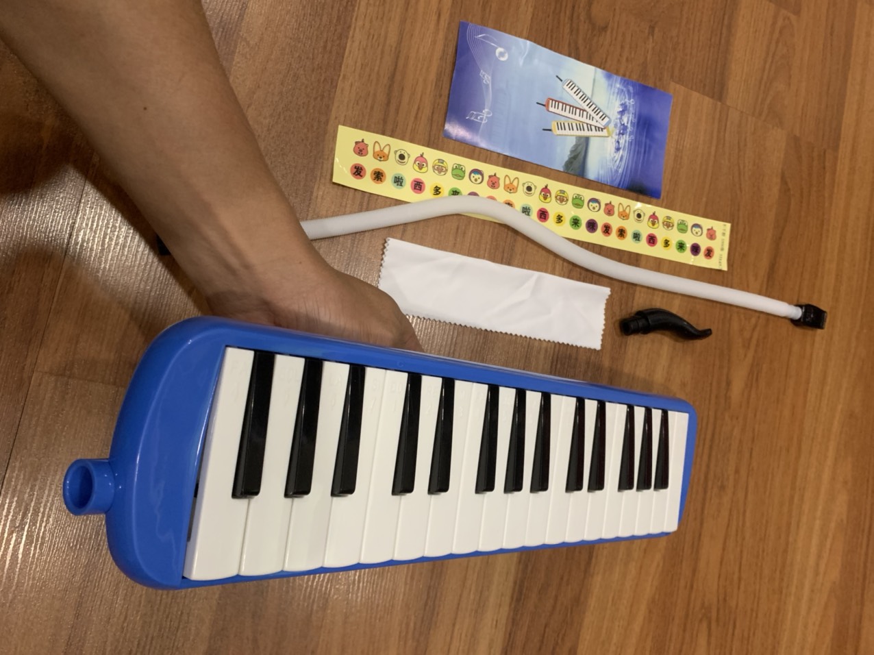 Kèn Melodica cao cấp cho bé học âm nhạc -Hàng Chính Hãng (Bảo hành 12 tháng)