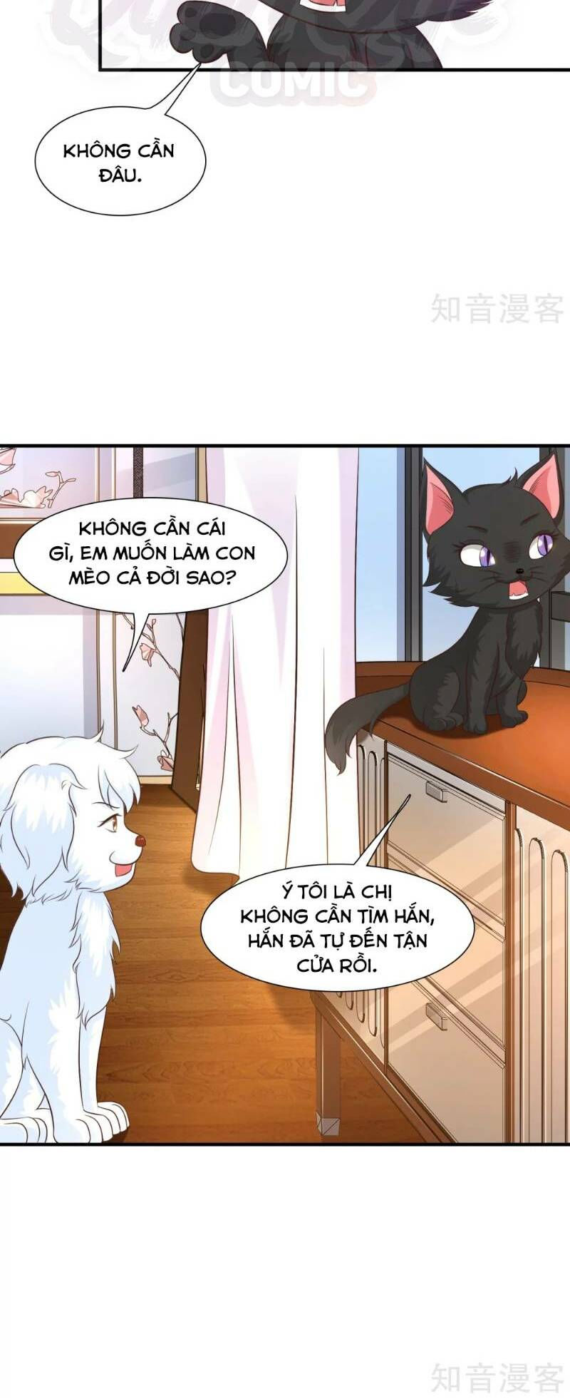 tối cường vận đào hoa chapter 79 18