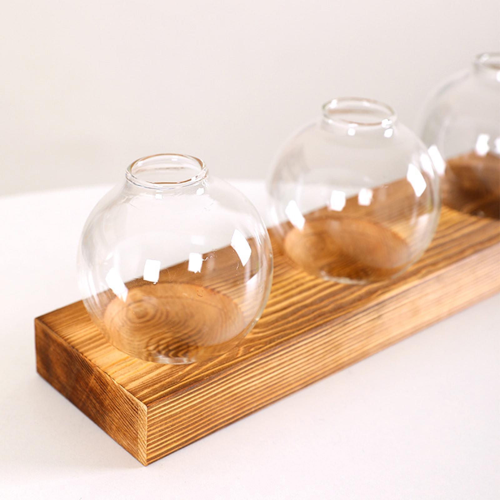 Glass Vase Transparent Bottle Propagation Terrarium for Home Cabinet Decor