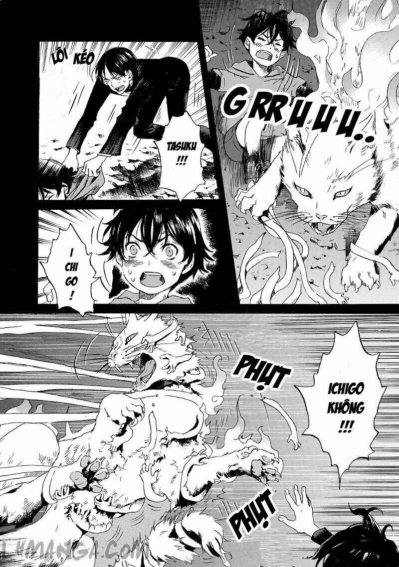 totsugami chapter 20 4