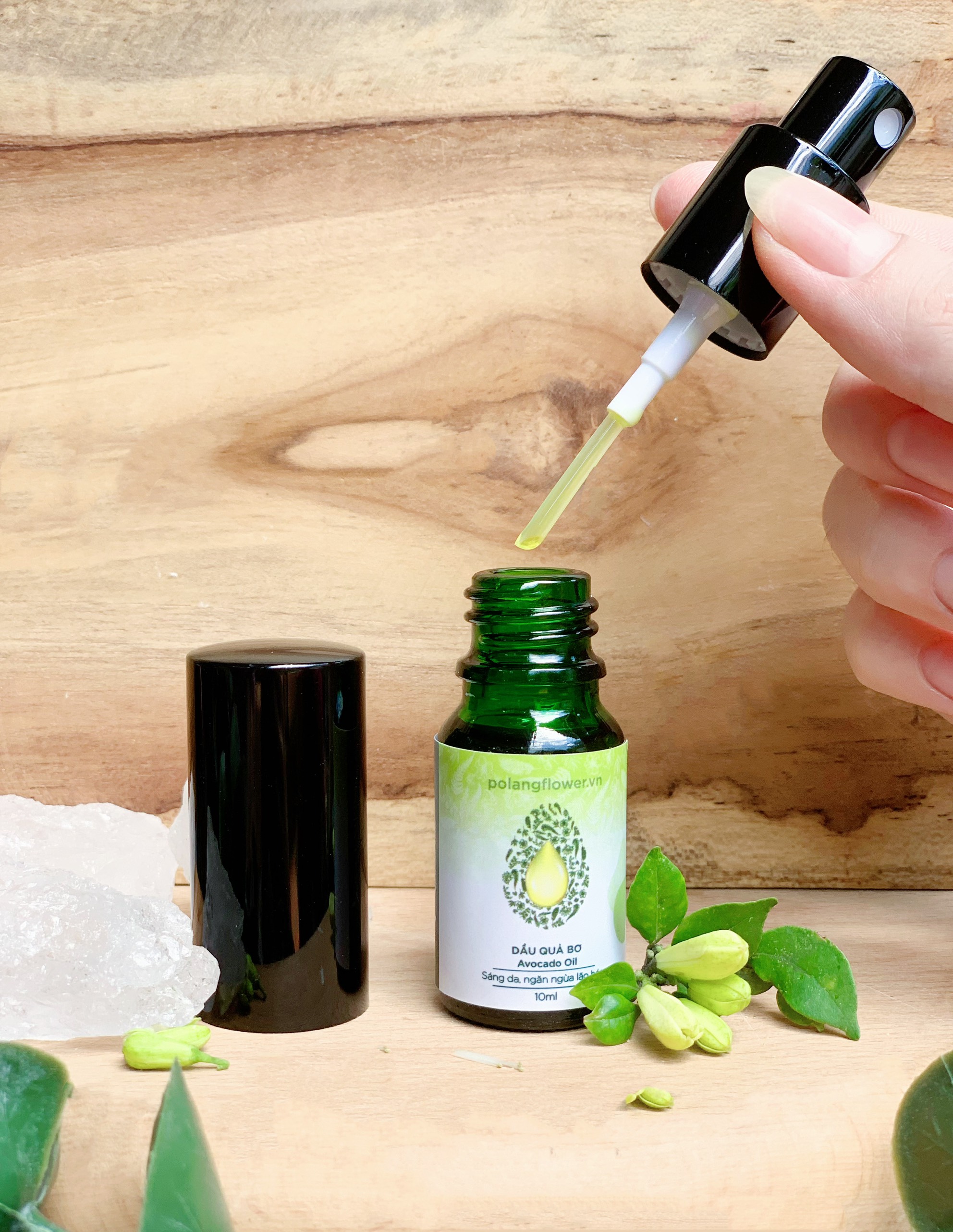 Dầu quả Bơ chống lão hóa giảm rạn da Pơ Lang 10ml