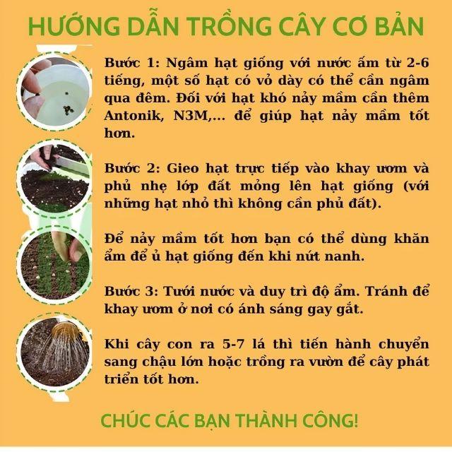 Hạt Giống Rau Dền Đỏ Lá Tròn Gói 20G, Rau Trồng Sân Thượng - Khu Vườn Ban Công