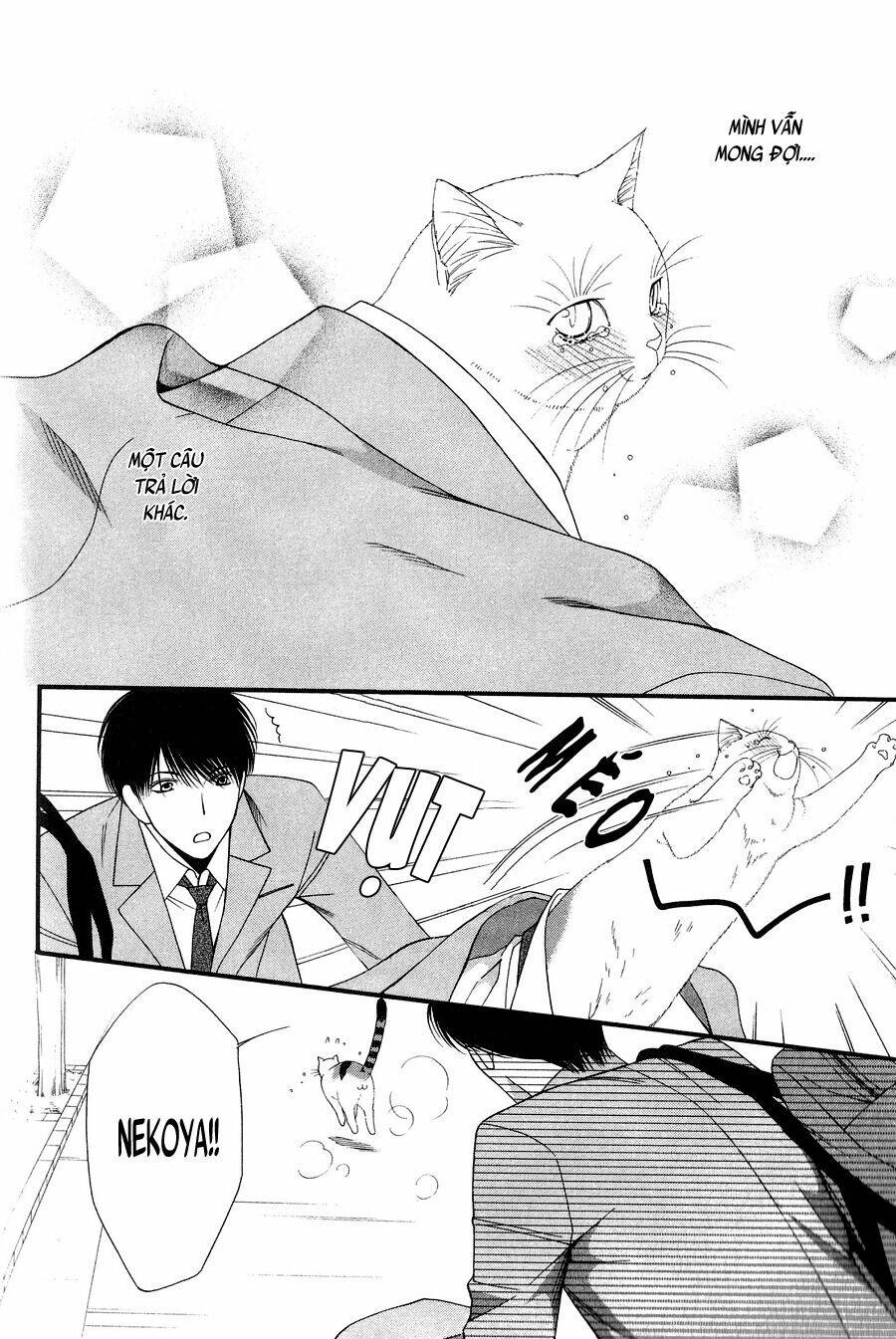 neko neko honey chapter 11 22