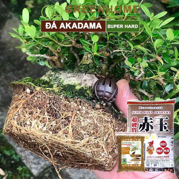 Đá Akadama, loại siêu cứng, làm đất, phân nền thủy sinh, bonsai, sen đá, nhiều size lựa chọn |Greenhome