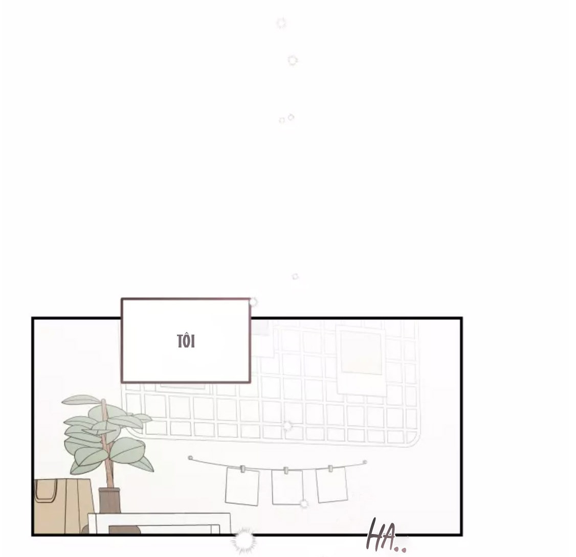 hợp đồng tình yêu chapter 47 41