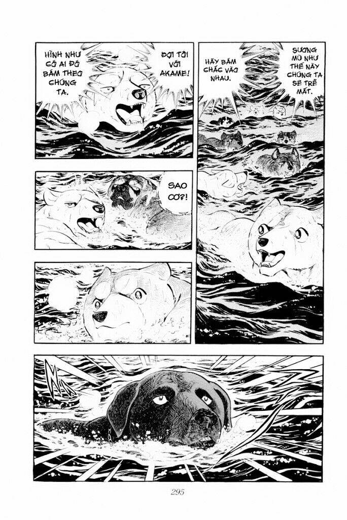 chú chó có nghĩa - ginga nagareboshi gin chapter 30.2 18