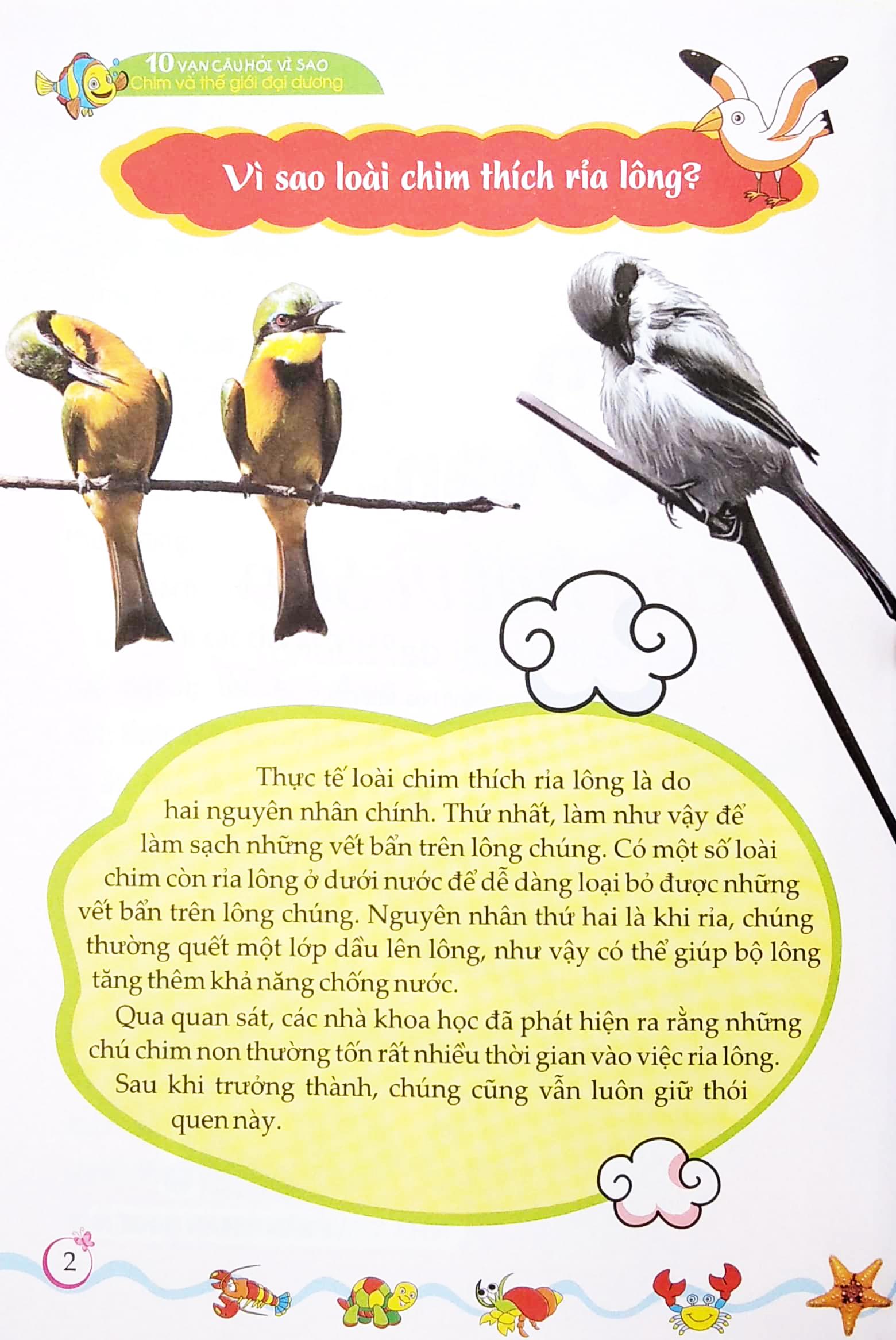 10 Vạn Câu Hỏi Vì Sao? - Chim Và Thế Giới Đại Dương