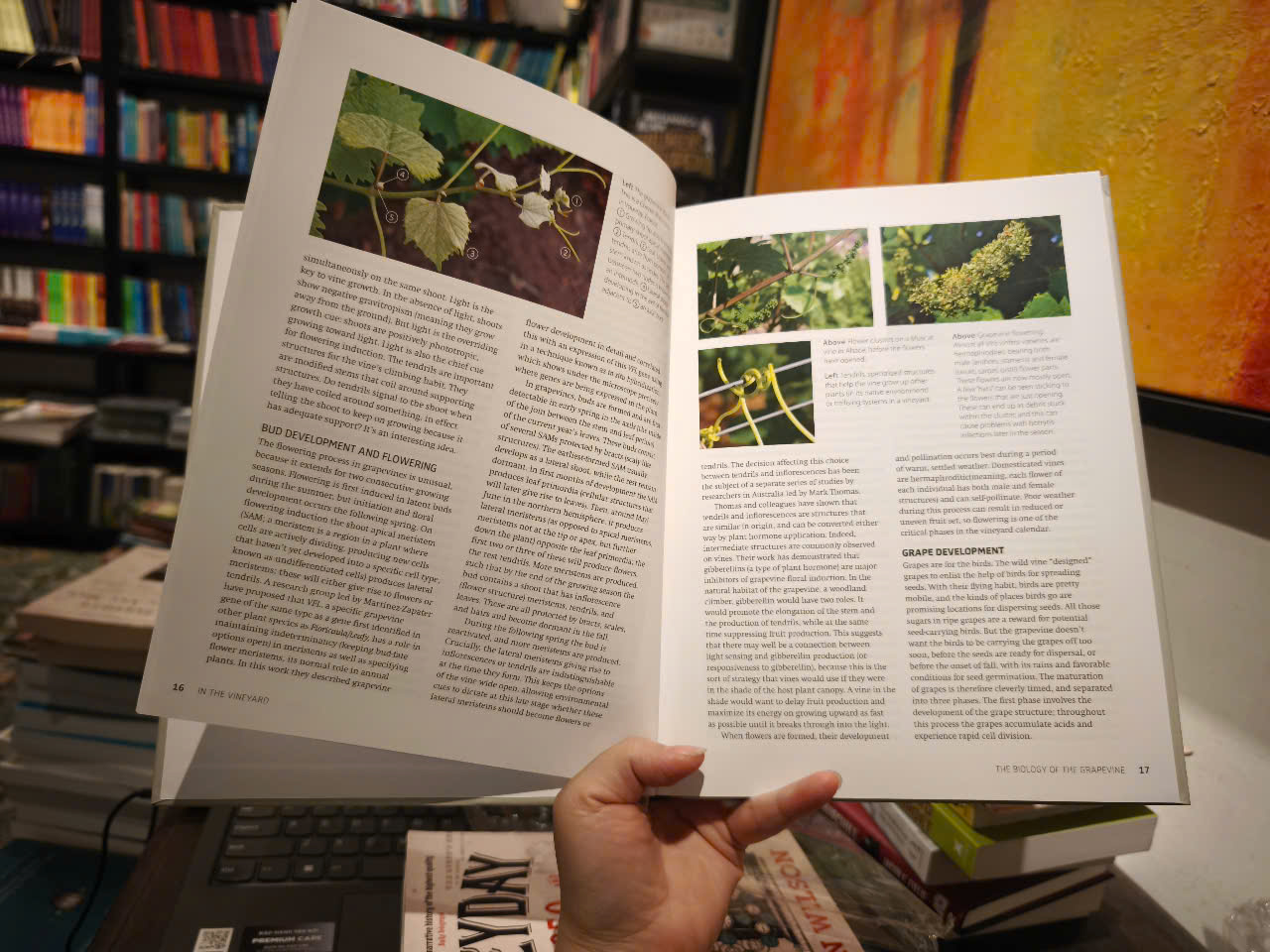 Sách - Wine Science: The Application of Science in Winemaking by Jamie Goode - Wine / Science
