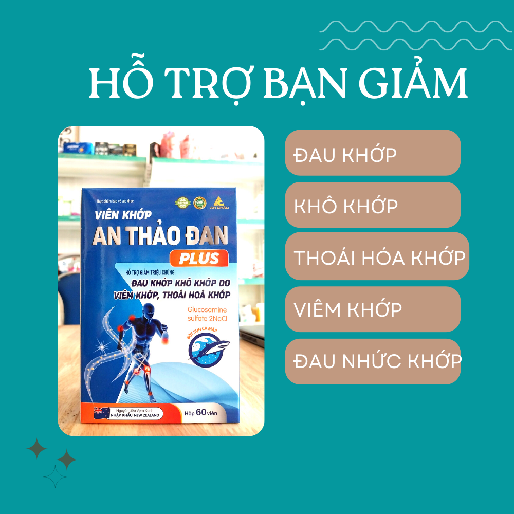 Viên Uống Xương Khớp AN THẢO ĐAN Hỗ trợ đau nhức xương khớp viêm khớp thoái hóa thoát vị tê bì chân tay, Hộp 60 viên