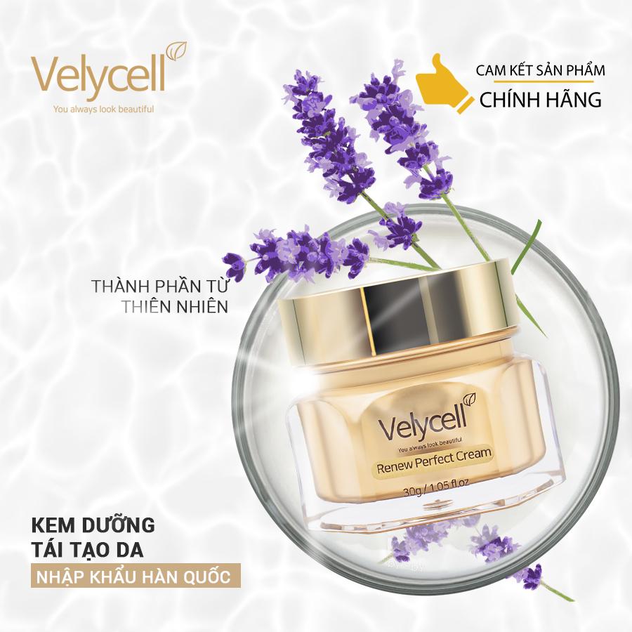 Kem dưỡng da Velycell Renew perfect cream 30ml