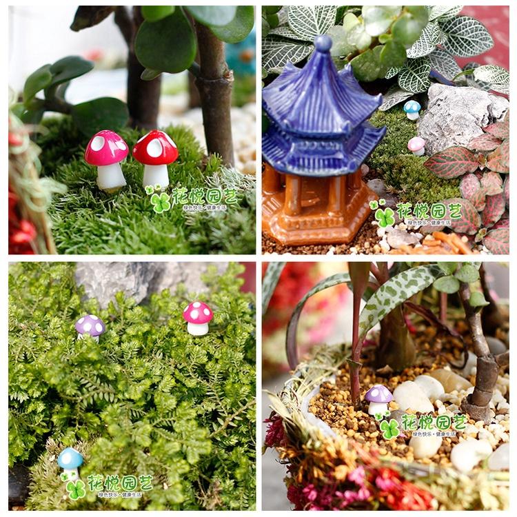 Phụ kiện set 5 nấm màu 1 cm làm tiểu cảnh, charm slime, decor mô hình, đồ handmade