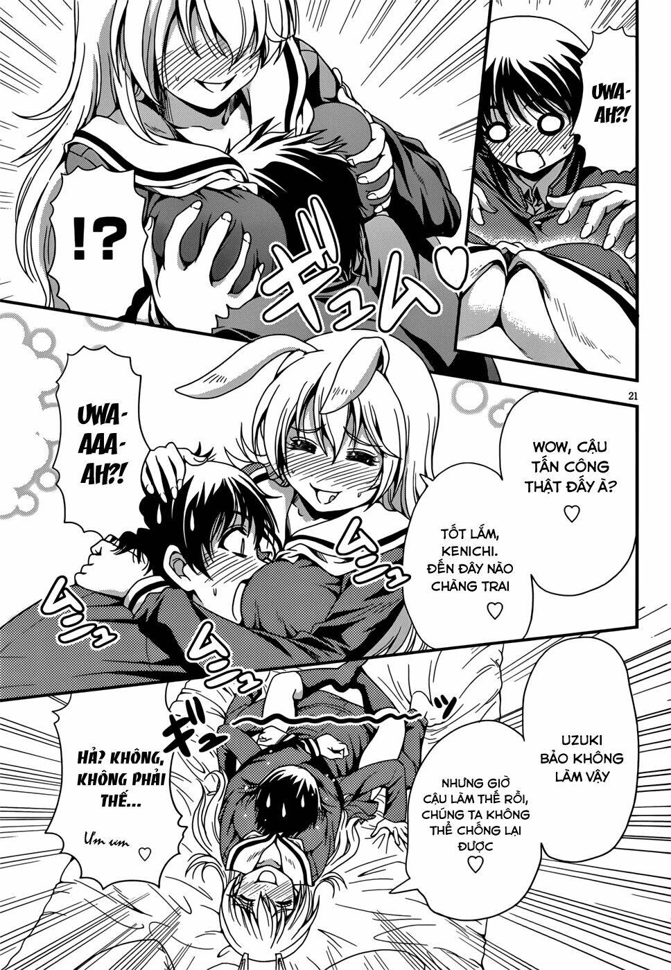 những cô gái có đôi tai thỏ chapter 6 22