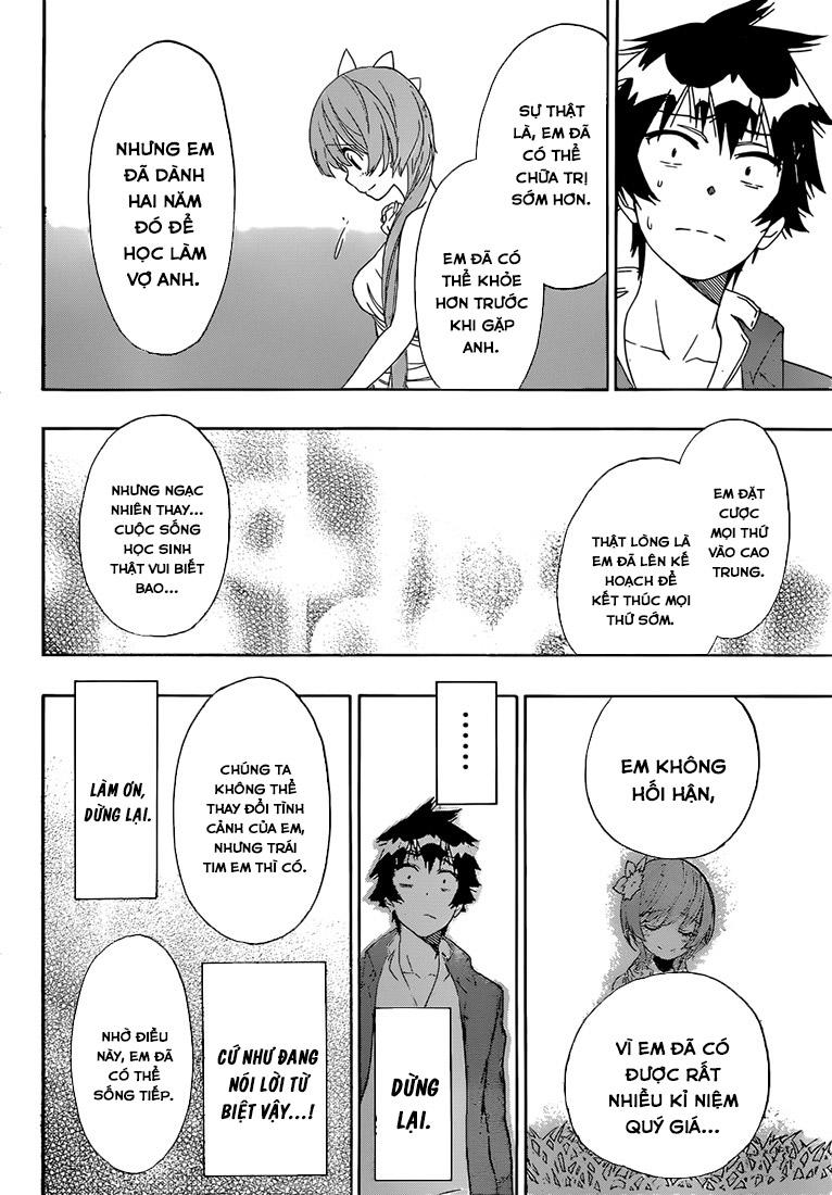 nisekoi - tình yêu giả tạo chapter 194 15